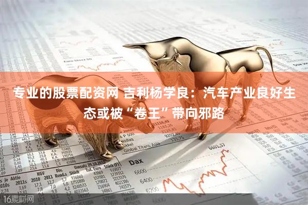 专业的股票配资网 吉利杨学良：汽车产业良好生态或被“卷王”带向邪路