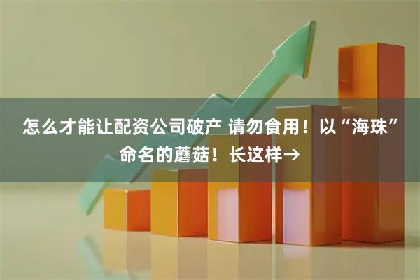怎么才能让配资公司破产 请勿食用！以“海珠”命名的蘑菇！长这样→