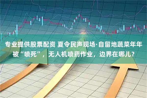 专业提供股票配资 夏令民声现场·自留地蔬菜年年被“喷死”，无人机喷药作业，边界在哪儿？